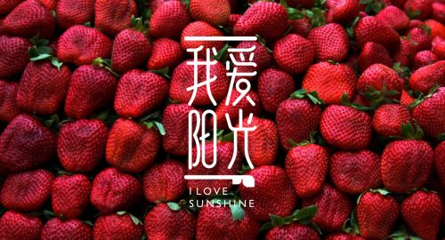營銷策劃-VI設計對公司意味著什么？