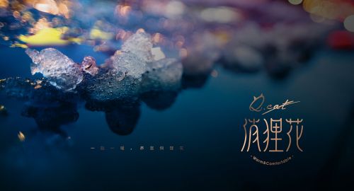 俏貍花暖宮貼包裝設計-九韻一雅堂簽約