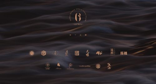 環球佳釀造就不一樣的酒業大咖！