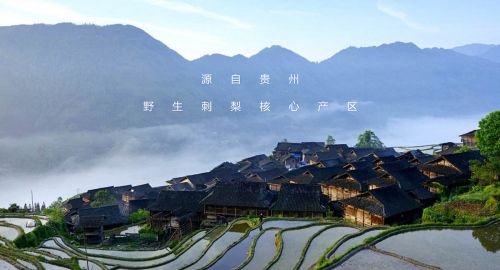 品牌設計方案加持下品牌有哪些變化？